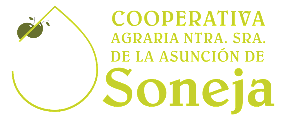 My Website